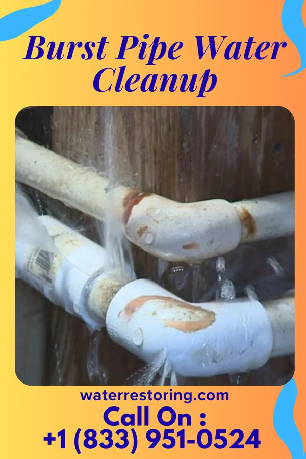 Burst Pipe Water Cleanup in Arkoe, MO