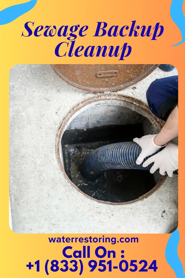 Sewage Backup Cleanup in Arkoe, MO