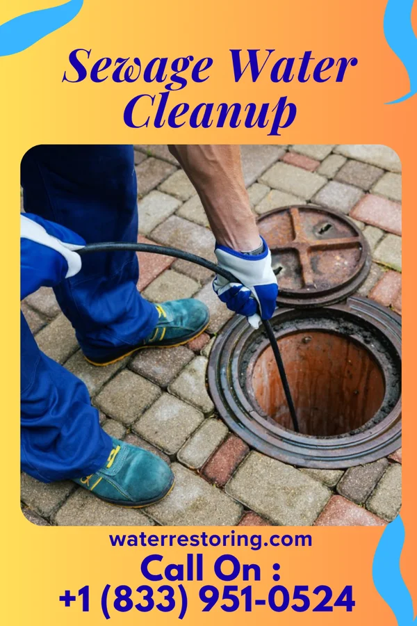 Sewage Water Cleanup in Arkoe, MO